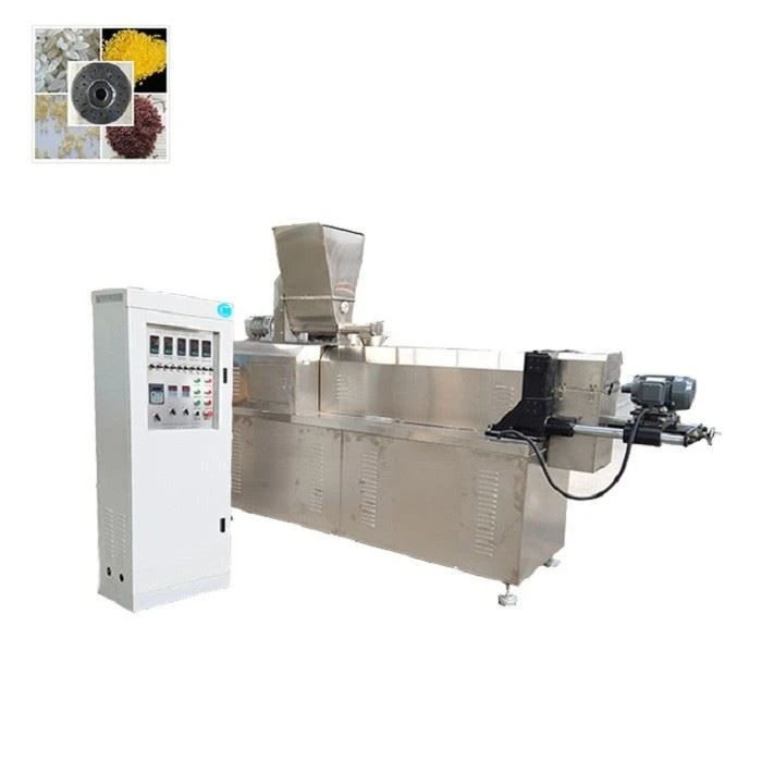 insatnt rice making plant